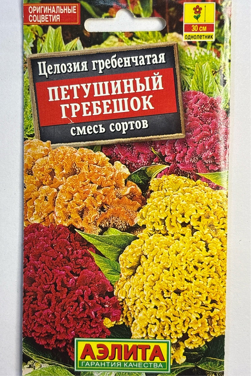 Целозия гребенчатая Петушиный гребешок, смесь сортов СМЦ-664