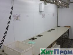 Комплекс убоя и переработки КРС до 20 голов/смена и МРС до 200 голов/смена. р. Татарстан