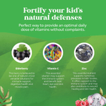 Nature's Craft, детские жевательные таблетки с бузиной, со вкусом малины, 90 жевательных таблеток