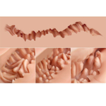 Мастурбатор-полуторс Naked Factory Laura