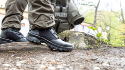 Ботинки Haix  Tactix GTX