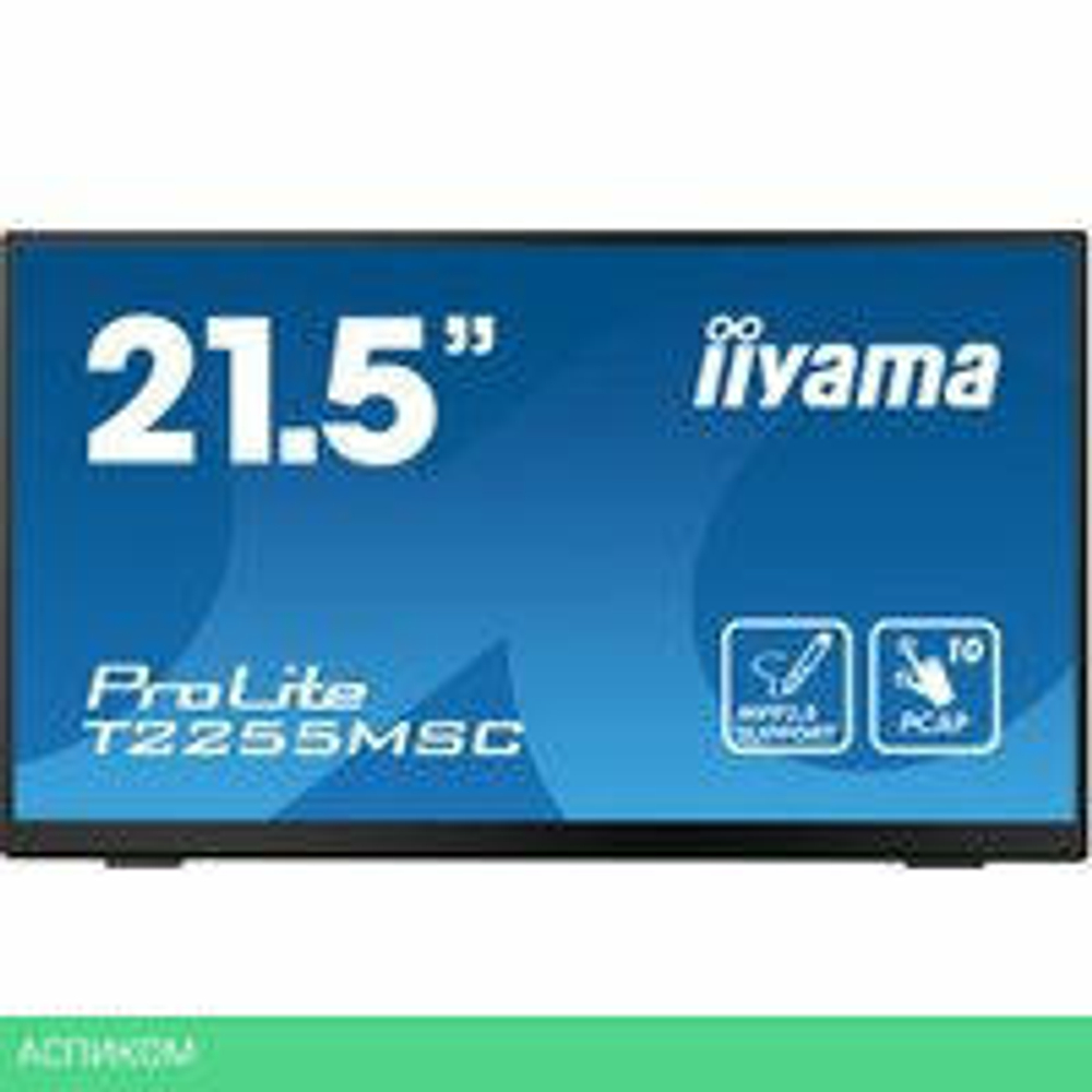 Портативный монитор Iiyama ProLite T2255MSC-B1