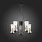 Подвесная люстра Evoluce Rammo SLE112403-05