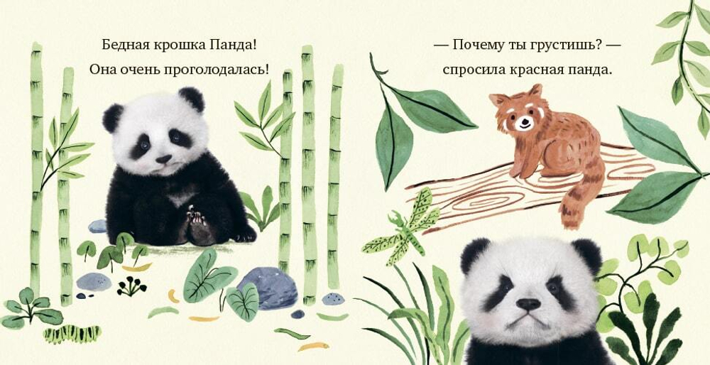 Крошка Панда