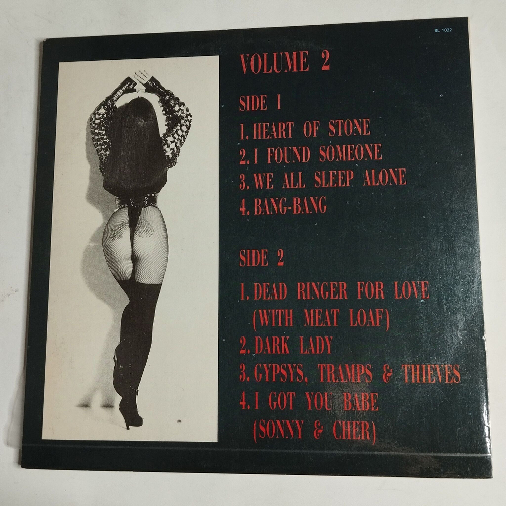 Винтажная виниловая пластинка LP Cher Greatest Hits 1965 1992 Vol. 2 (Россия 1993)