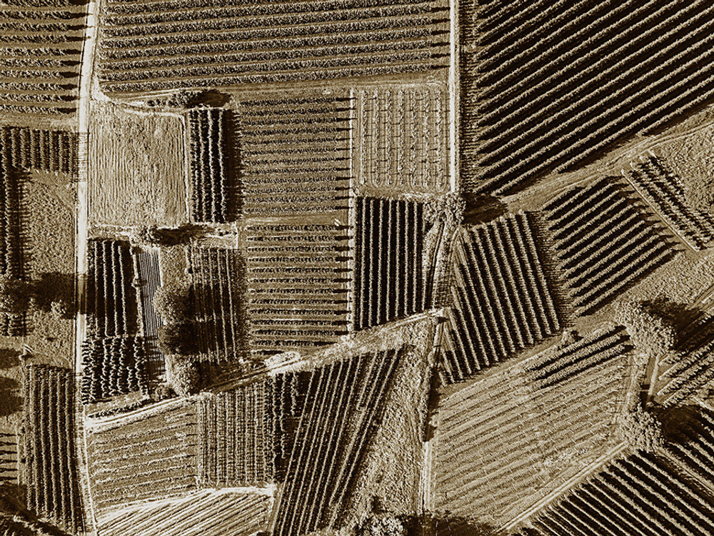 Дизайнерские обои Wall Street Bird see