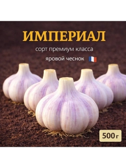 Чеснок яровой Империал (Франция)