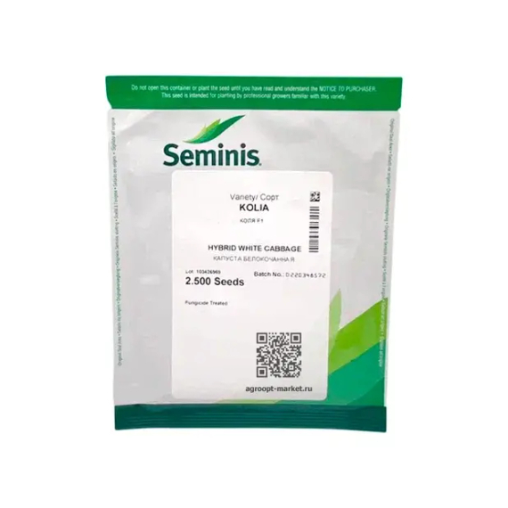 КОЛЯ F1 семена капусты белокочанной (Seminis | Alexagro) – фото 4