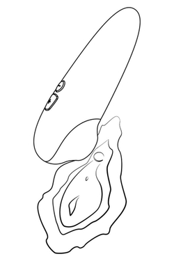 Romp Shine X - Бесконтактный клиторальный стимулятор