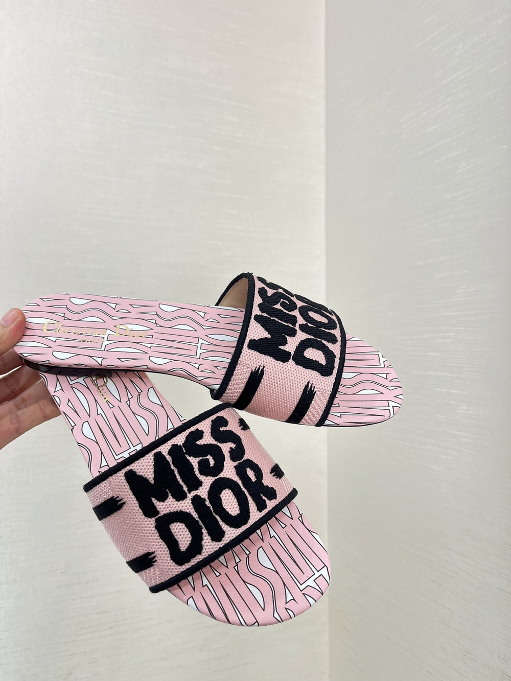 Christian Dior Dway Slide (11 colors)