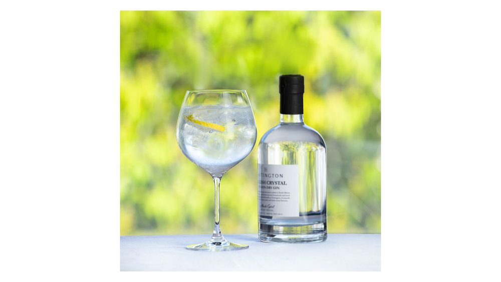 Бокал для коктейлей и джина 610мл Dartington Джаст ван