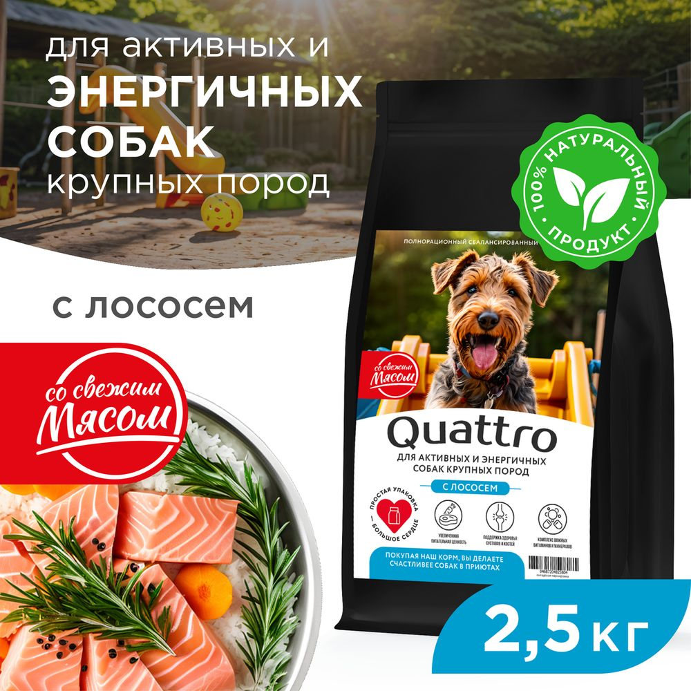 Корм сухой для взрослых собак крупных пород, премиум полнорационный комплекс, для активных и энергичных собак, с лососем, 2,5 кг, QUATTRO