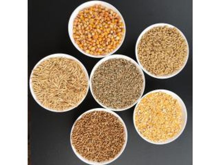 Несоложеное зерно