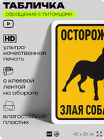 Табличка "Осторожно, злая собака" на дверь и забор, для двора, дома, подъезда, 40х30 см, Silver Plane x Айдентика Технолоджи