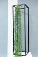 Аспарагус 175см