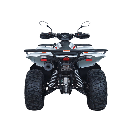 Квадроцикл Access AMX800 Long base