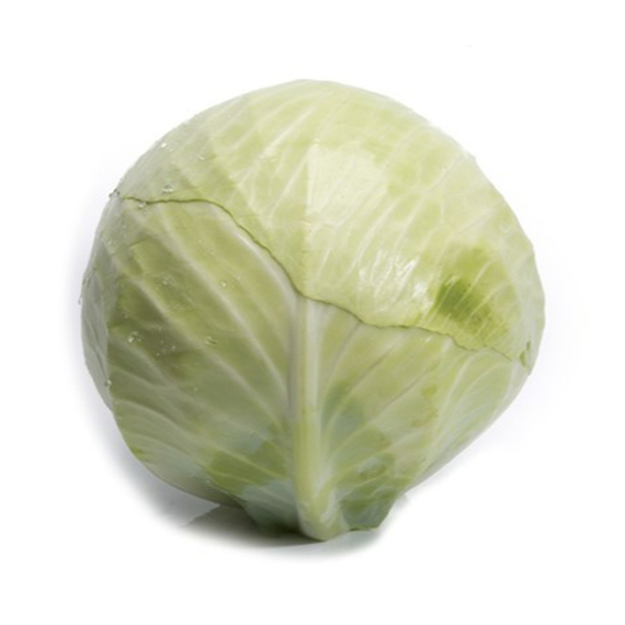 Короната F1 семена капусты белокочанной (Takii / Таки) – фото 2