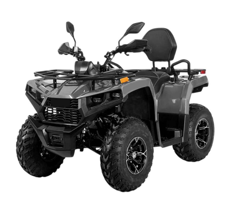 Квадроцикл Bizon YK250 LUX EFI ПТС