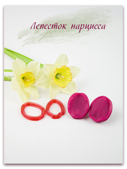 Лепесток нарцисса