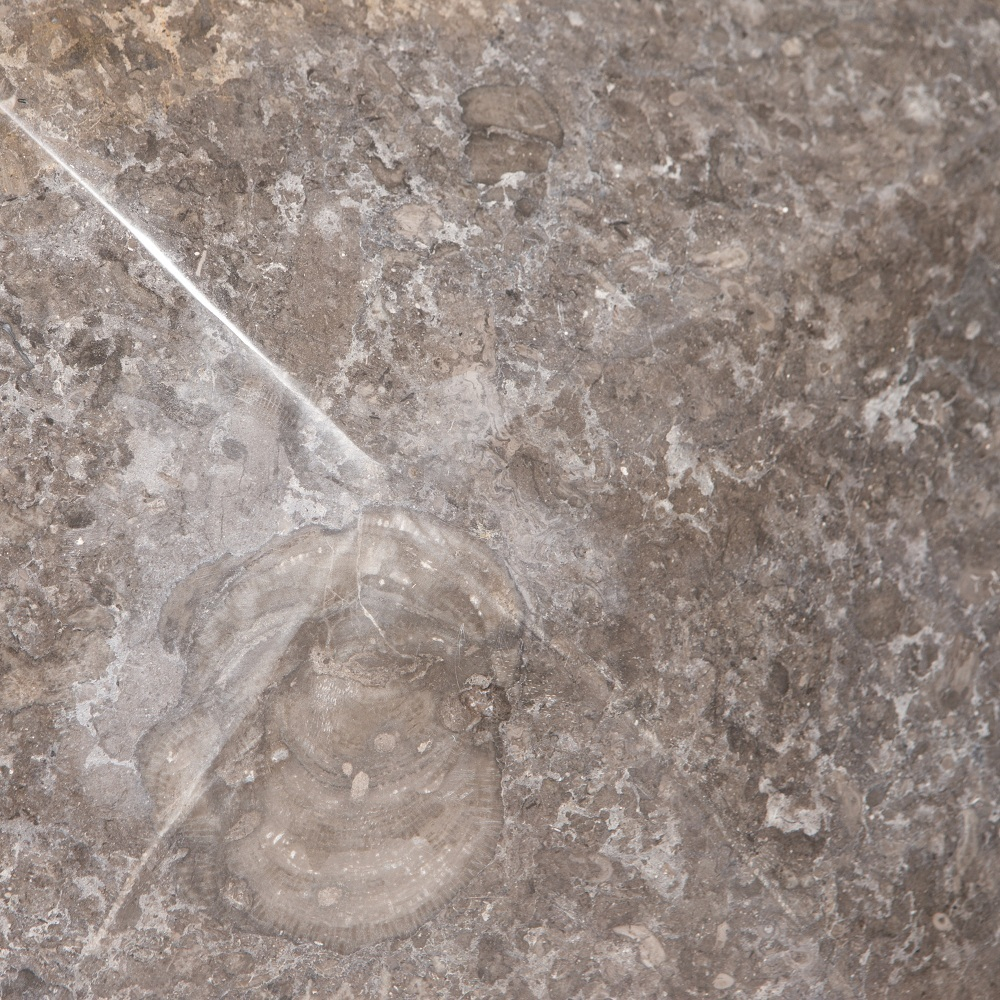 Раковина напольная из мрамора Square Acak Grey RN-01701 (50*50*90 см)