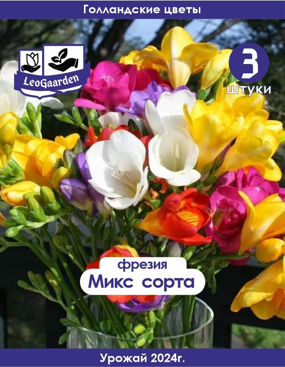 Луковица, Фрезия микс сортов 3шт