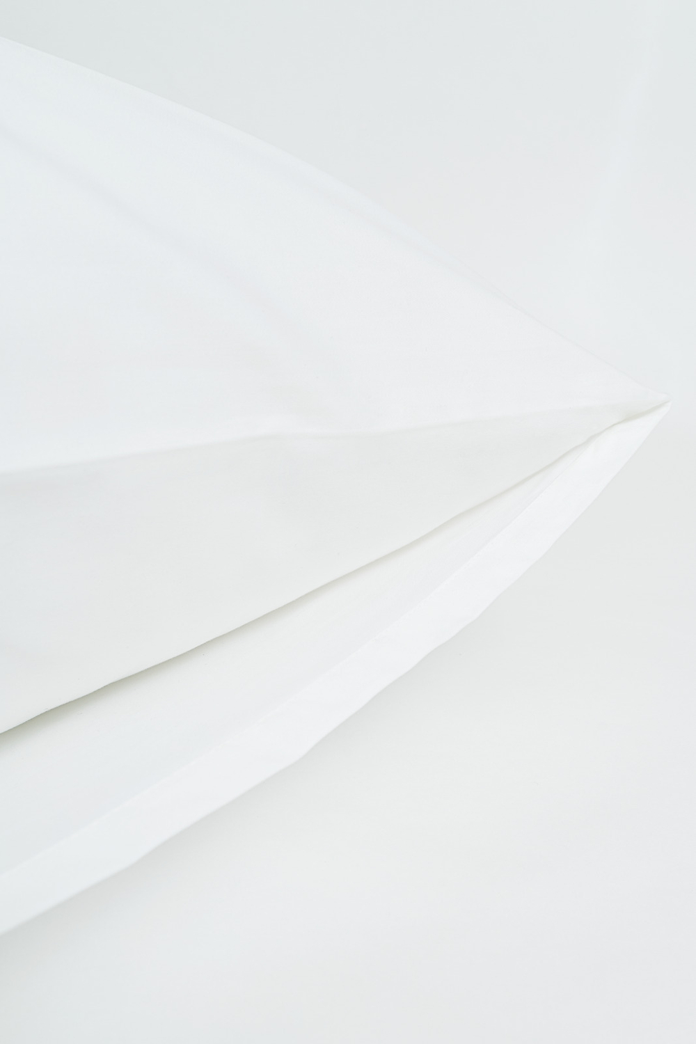 Постельное белье 2 спальное евро German Grass Paisley Palette Grass