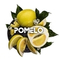 BlackBurn Pomelo (Помело), 25 гр