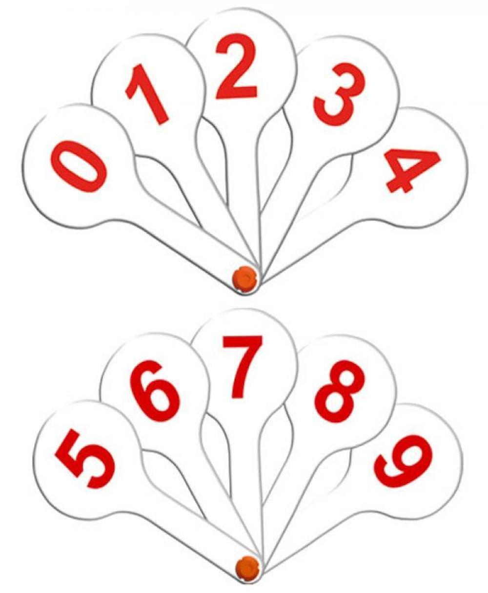 Касса веер цифры от 0 до 9 (Стамм)