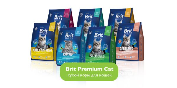 Линейка кормов для кошек Brit!