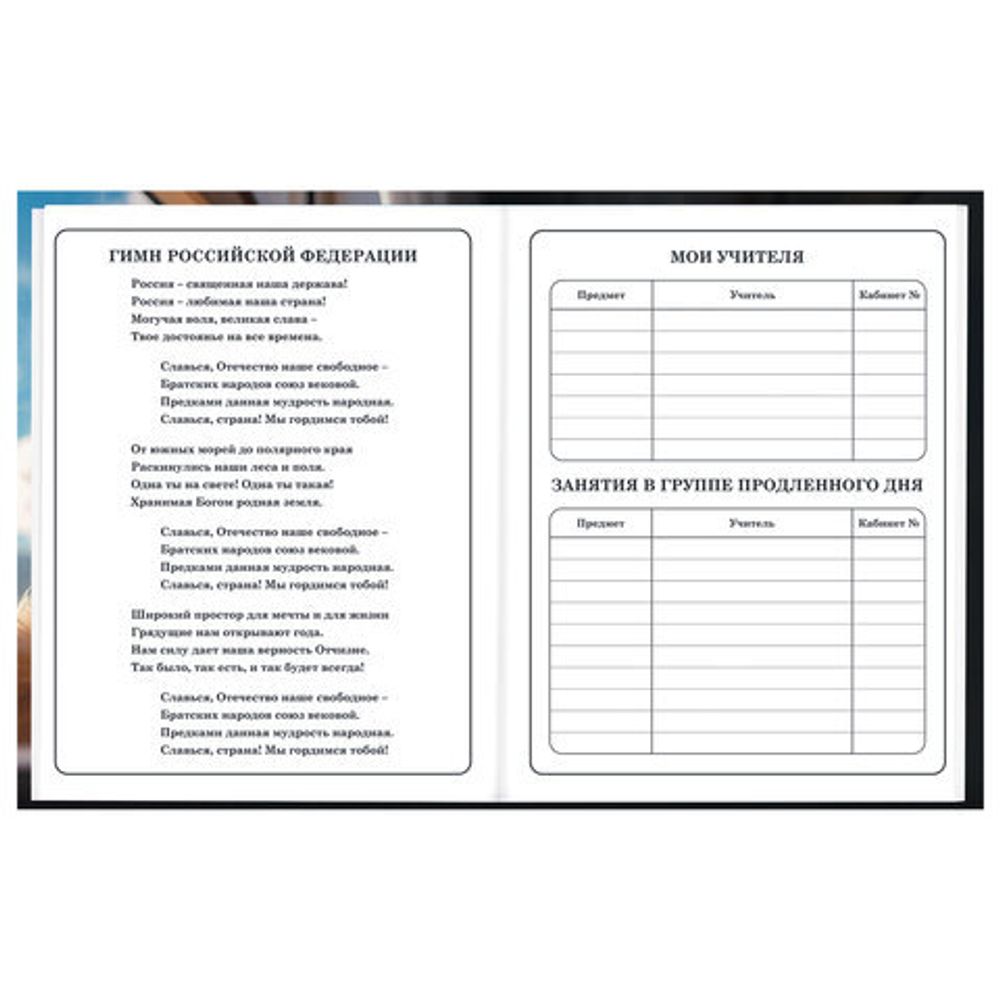 Дневник 1-4 класс 48 л., твердый, BRAUBERG, глянцевая ламинация, с подсказом, "Котик", 107156