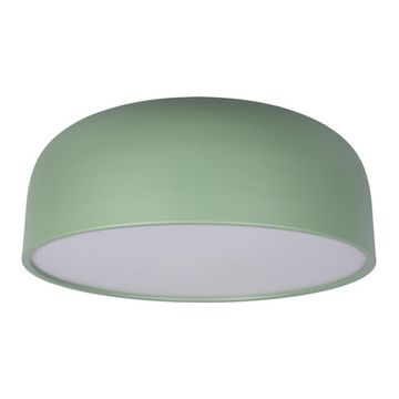 Потолочный светильник LED 30W 4000К 10201/480 Green зелёный Axel LOFT IT