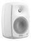 Genelec 4430AW