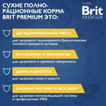 Сухой корм для взрослых кошек Brit Premium Cat 0,4 кг Adult Salmon лосось