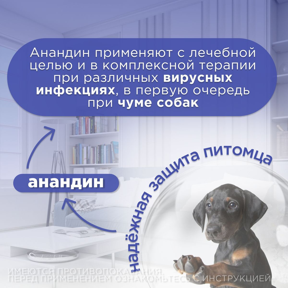 Иммуномодулятор раствор для инъекций АВЗ Анандин 10% для собак, 10 мл