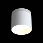 ST102.502.12 Светильник потолочный Белый LED 1*12W 3000K 936Lm Ra&gt;80 120° IP20 D100xH90 170-240V Накладные светильники