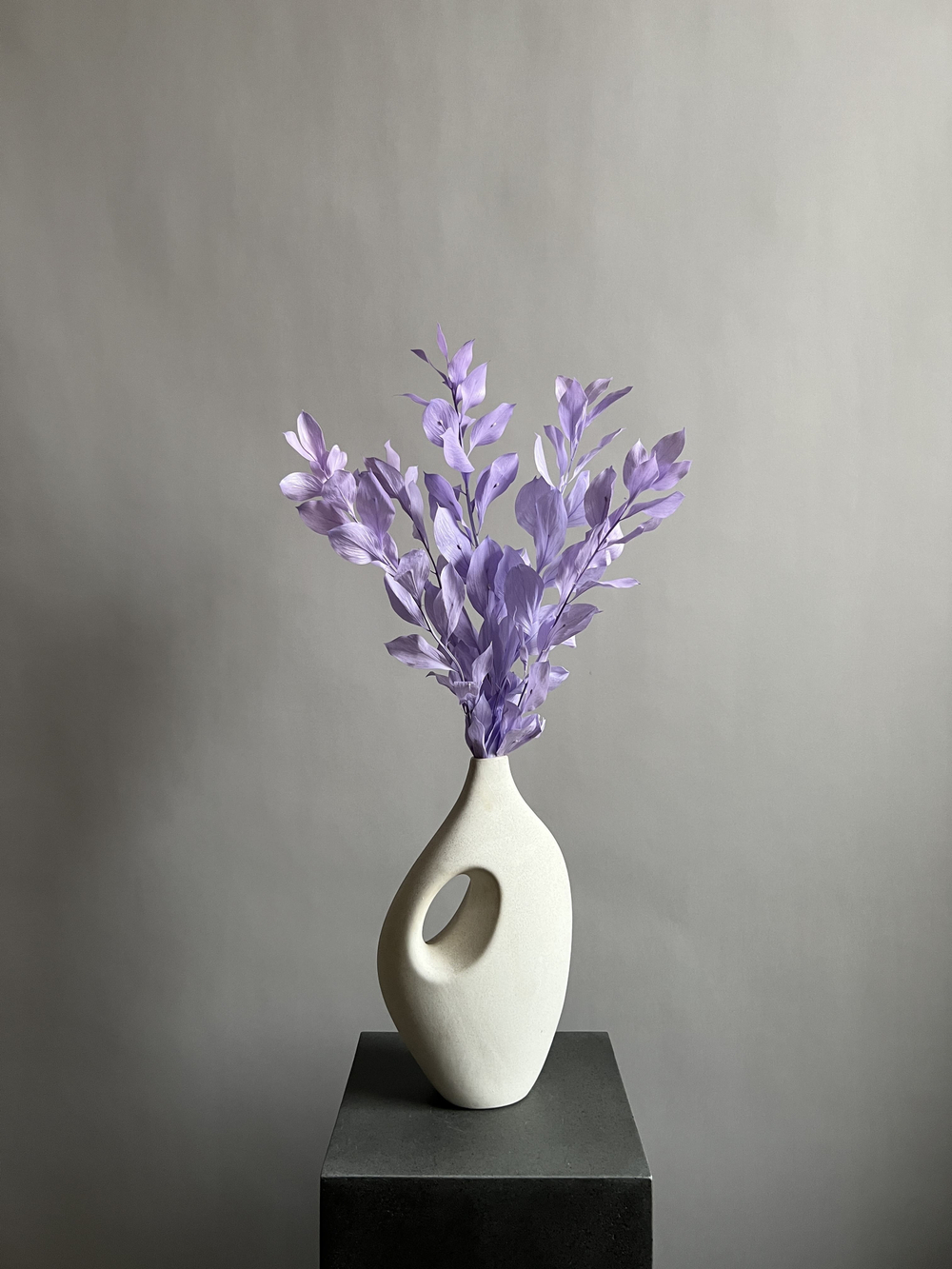 Рускус садовый стабилизированный сиреневый