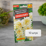 БАРХАТЦЫ Снежная вьюга Аэлита Ц (10шт)