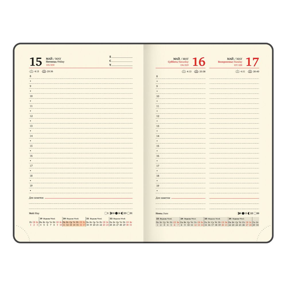 Ежедневник датированный BRAUBERG "Iguana" (117251) 12