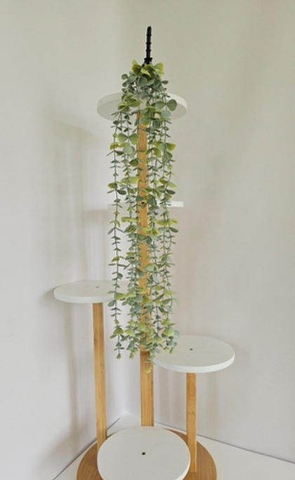 Эвкалипт / Арт 4418