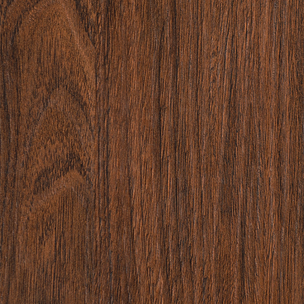 Дуб Лесной ETW 15