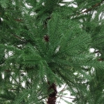 Ёлка «Королевская» 150 см резина (464 веток)