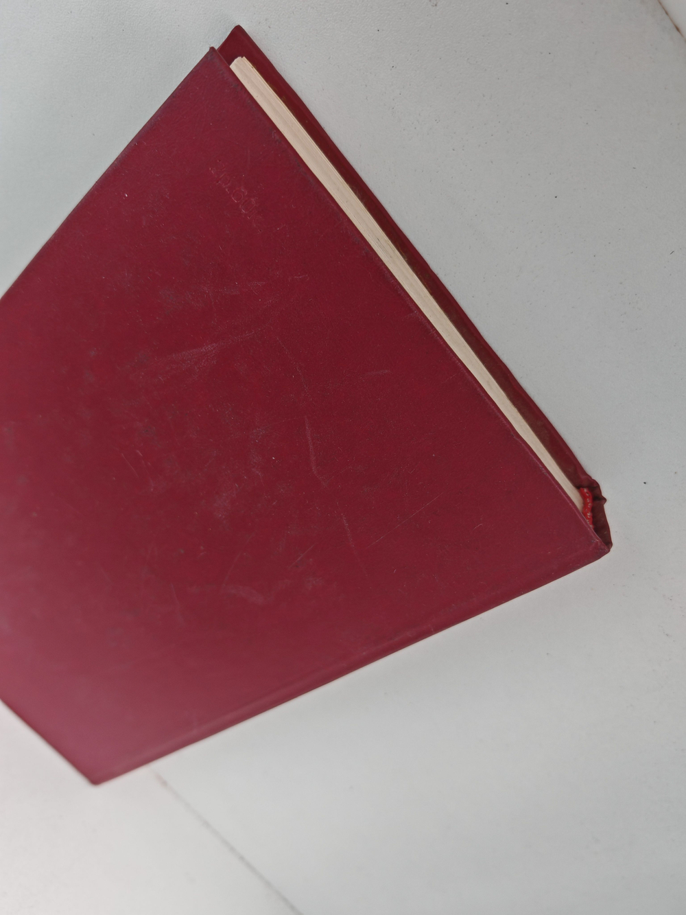 День лисицы. От руки брата его