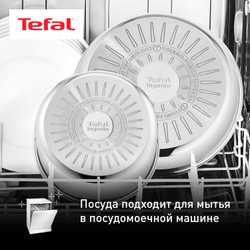 Набор посуды со съемной ручкой 13 предметов Tefal Ingenio Emotion L896SD04