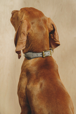 Ошейник "Кантри-Пони" Графит