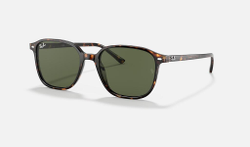 RAY-BAN LEONARD RB2193 902/31