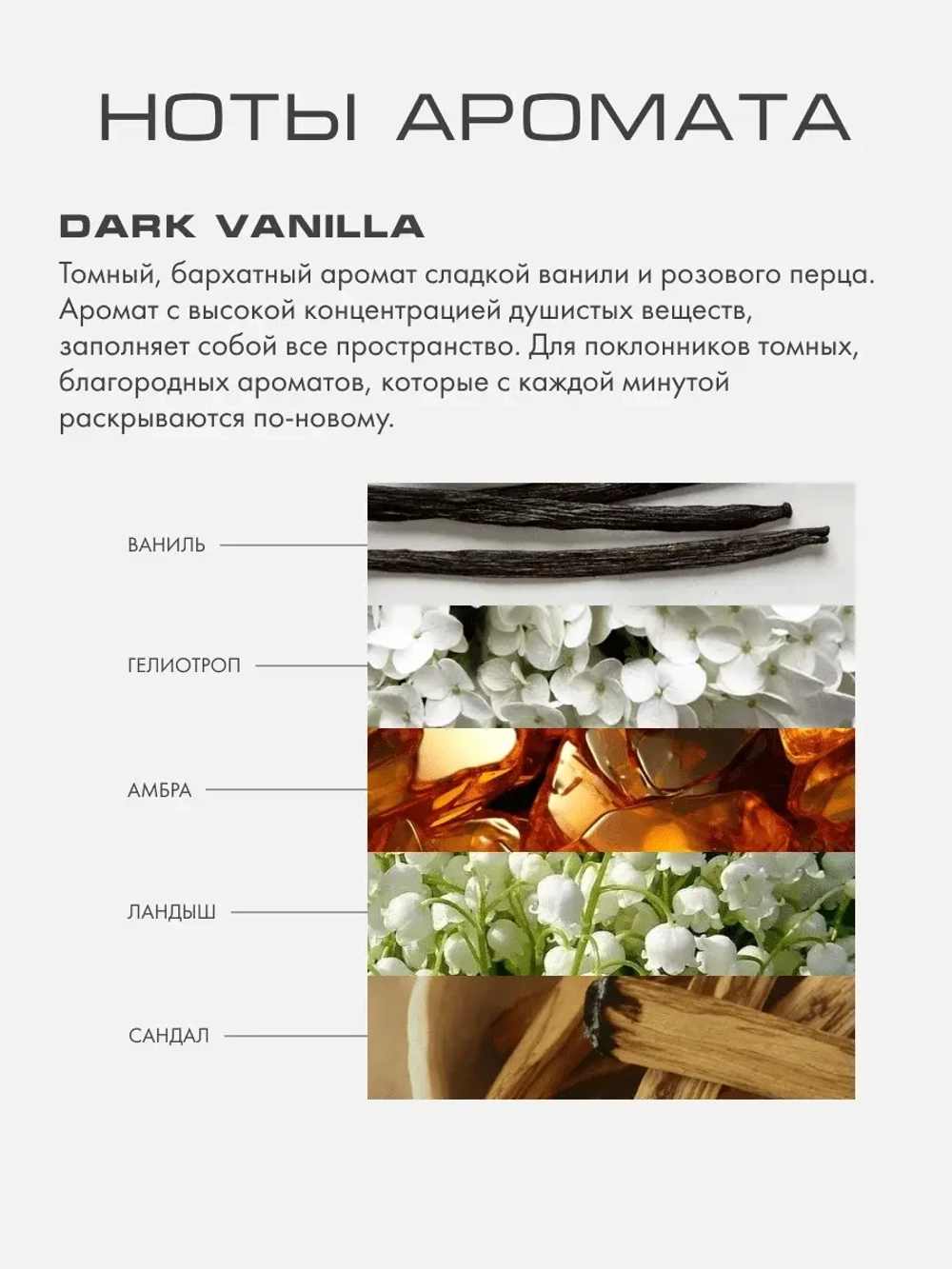 Dark Vanilla L