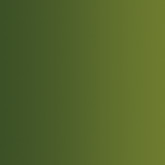 Game Xpress Color - Orc Skin