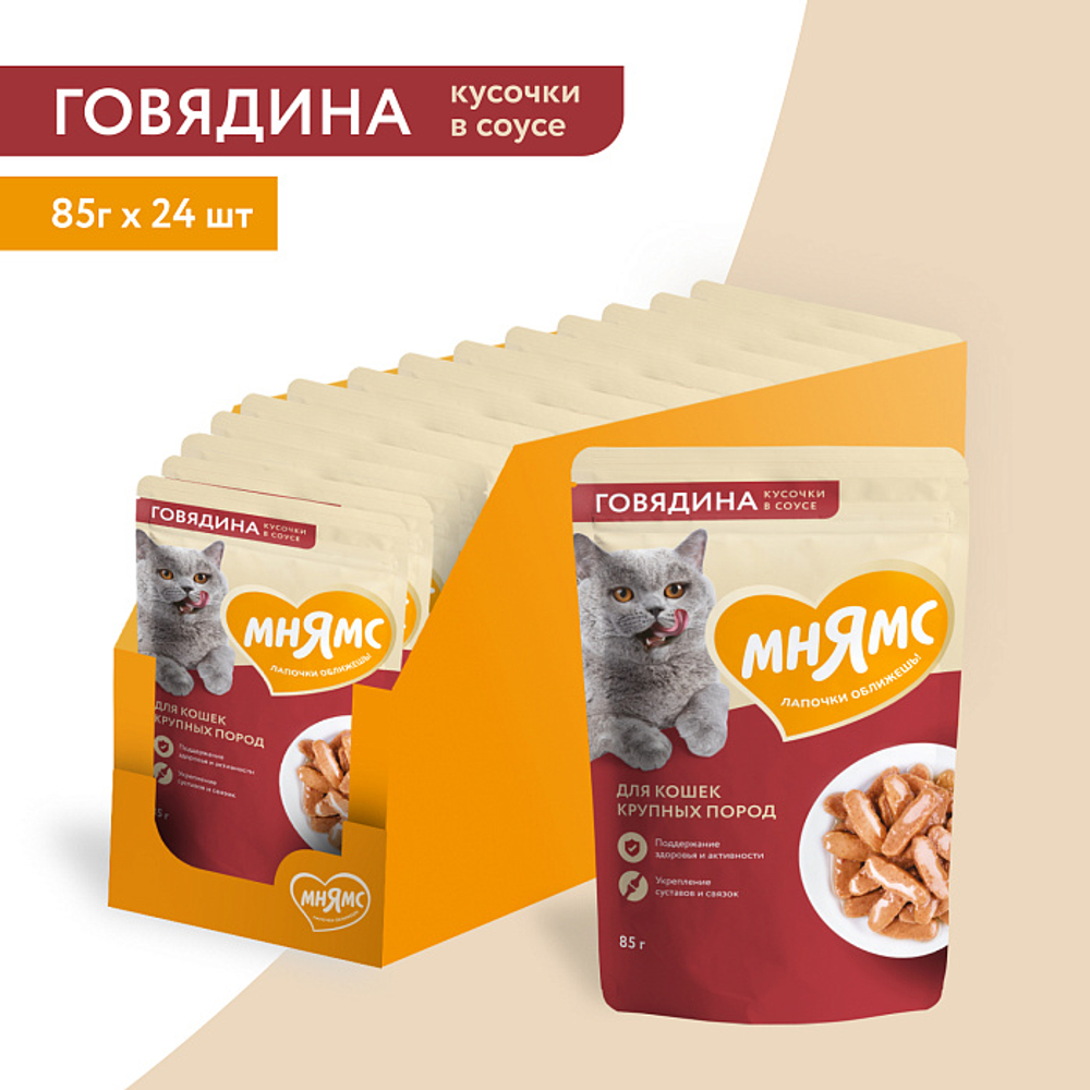 Влажный корм для крупных кошек на каждый день кусочки в соусе с говядиной Мнямс 85г 24 шт