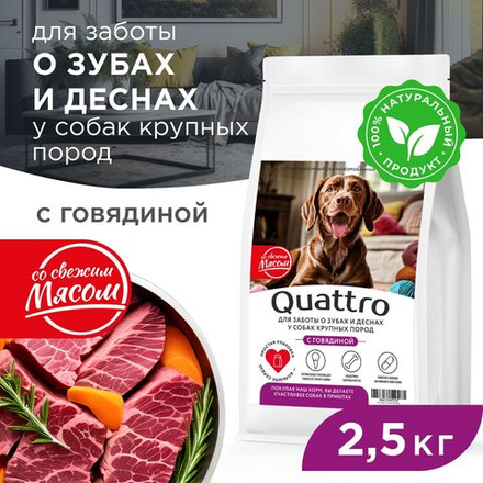Корм сухой для взрослых собак крупных пород, премиум полнорационный комплекс, для заботы зубов и десен, с говядиной, 2,5 кг, QUATTRO
