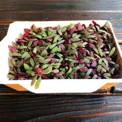 СРЕЗ / Амарант красный  (лоток) / 20 гр СРЕЗ / Амарант красный  (лоток) / 20 гр